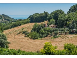PRESTIGIOUS RENOVATED FARMHOUSE FOR SALE IN MASSIGNANO restored farmhouse in the Marche in Italy
